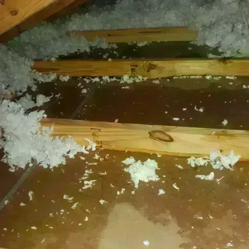 Attic Water Damage in Easton, WI